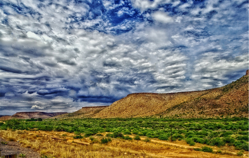 Cottonwood