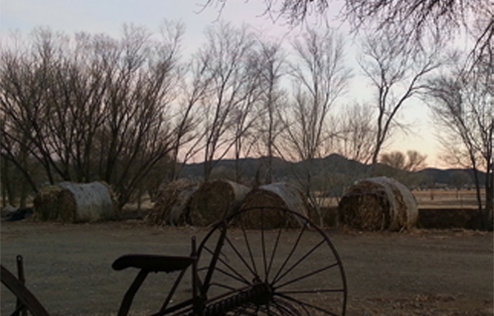 Prescott Valley